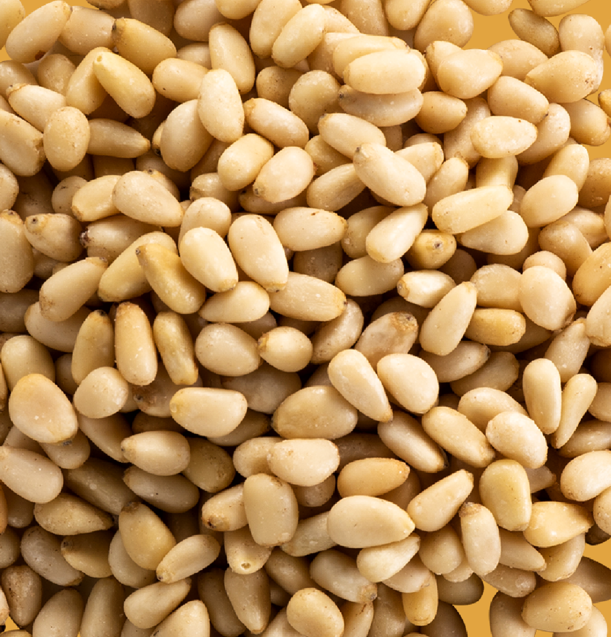 Pignons de Pin Sibirica